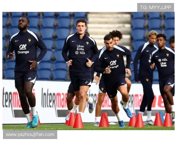 法国在世界杯预选赛欧洲区的积分变化趋势与排名情况详解